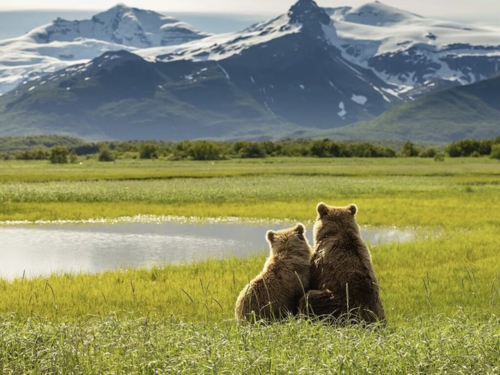 road trip en Alaska